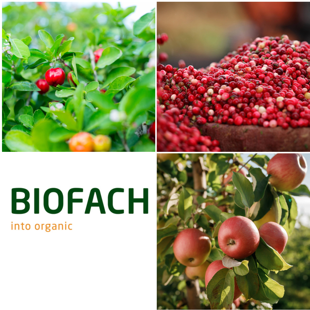 Biofach Beitragsbild 6 1 - Highlights Biofach 2026