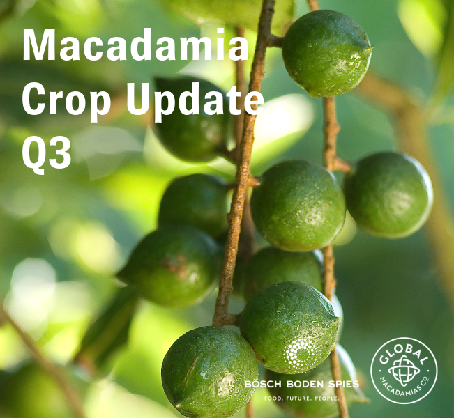 Global Update 1 - Macadamia Market Update Q3 2025