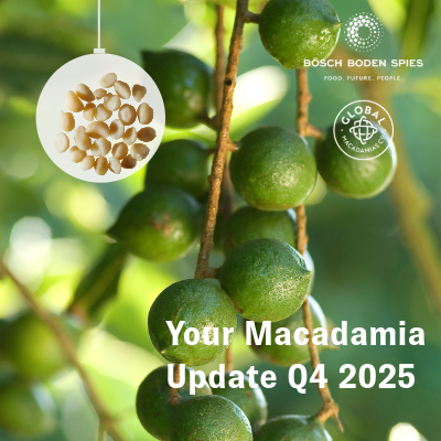 Newsletter Macadamia 1 2 - Macadamia Market Update Q4 2025
