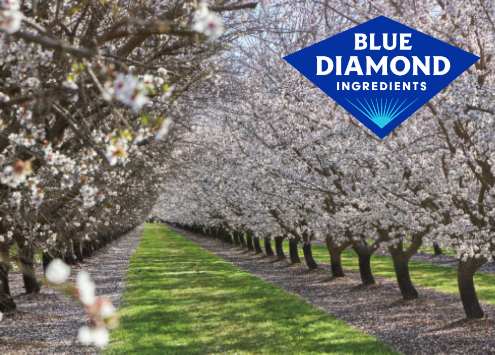 Unbenannt 2 53 2 - Mandelmarkt: Update April 2026