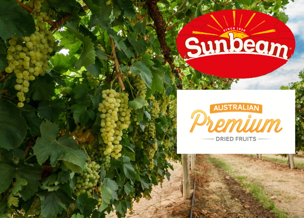 Unbenannt 31 1 - Sultanamarkt: Update Ernte April 2026