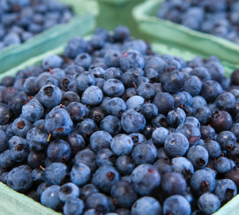 Blueberry