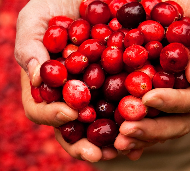 Cranberry